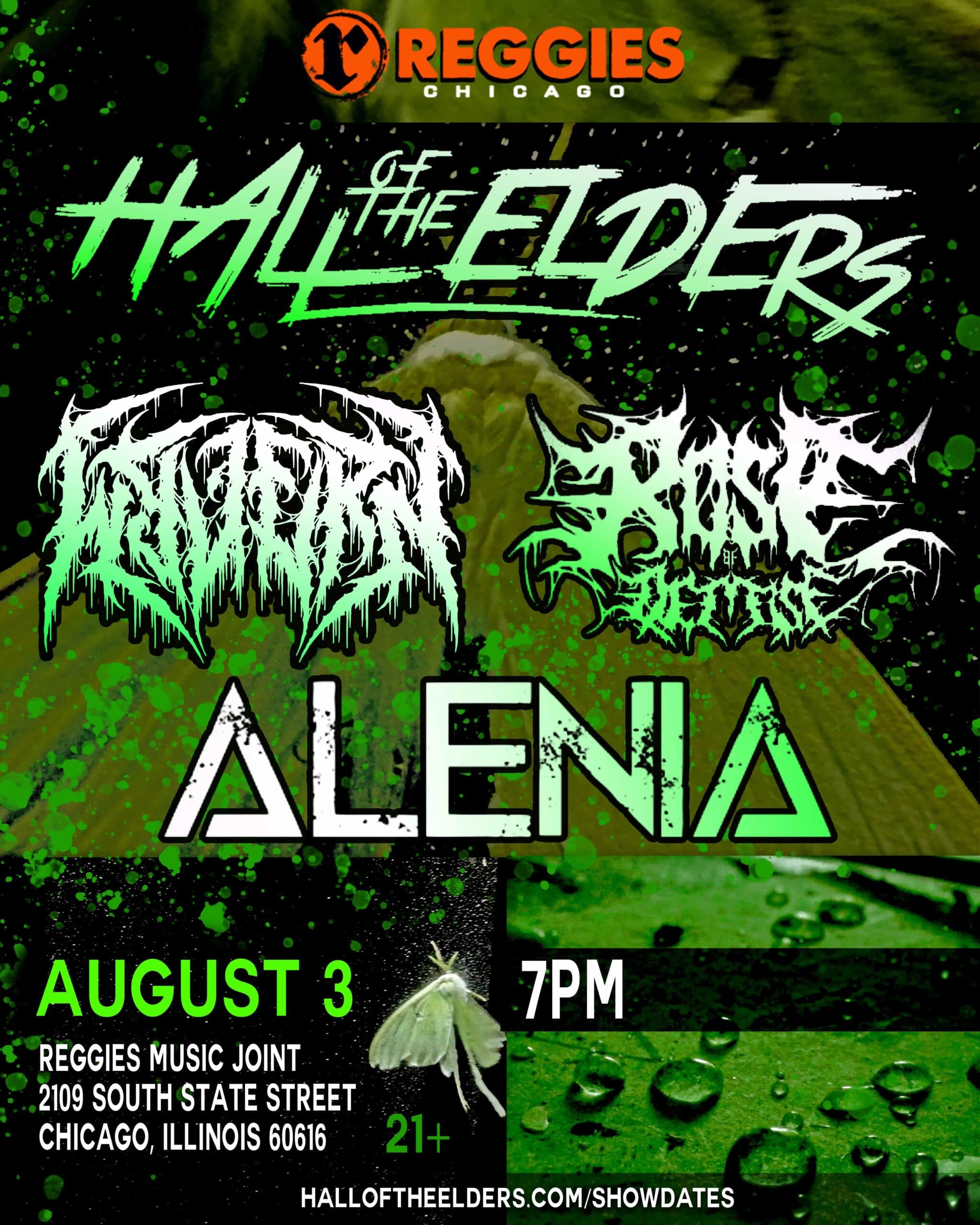 HALL OF THE ELDERS
