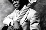 BOB STROGER AND FRIENDS